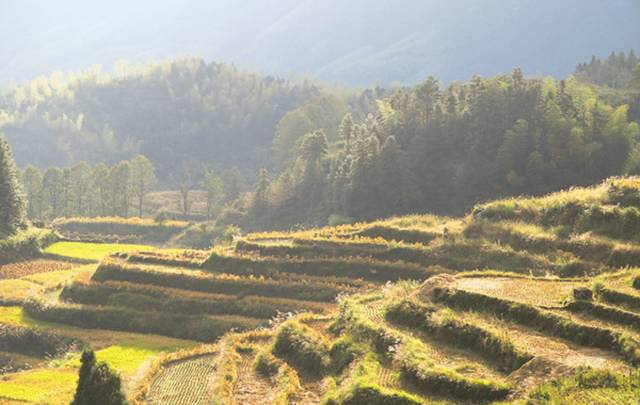 你要是去麗水，記得@我 旅行 第66張