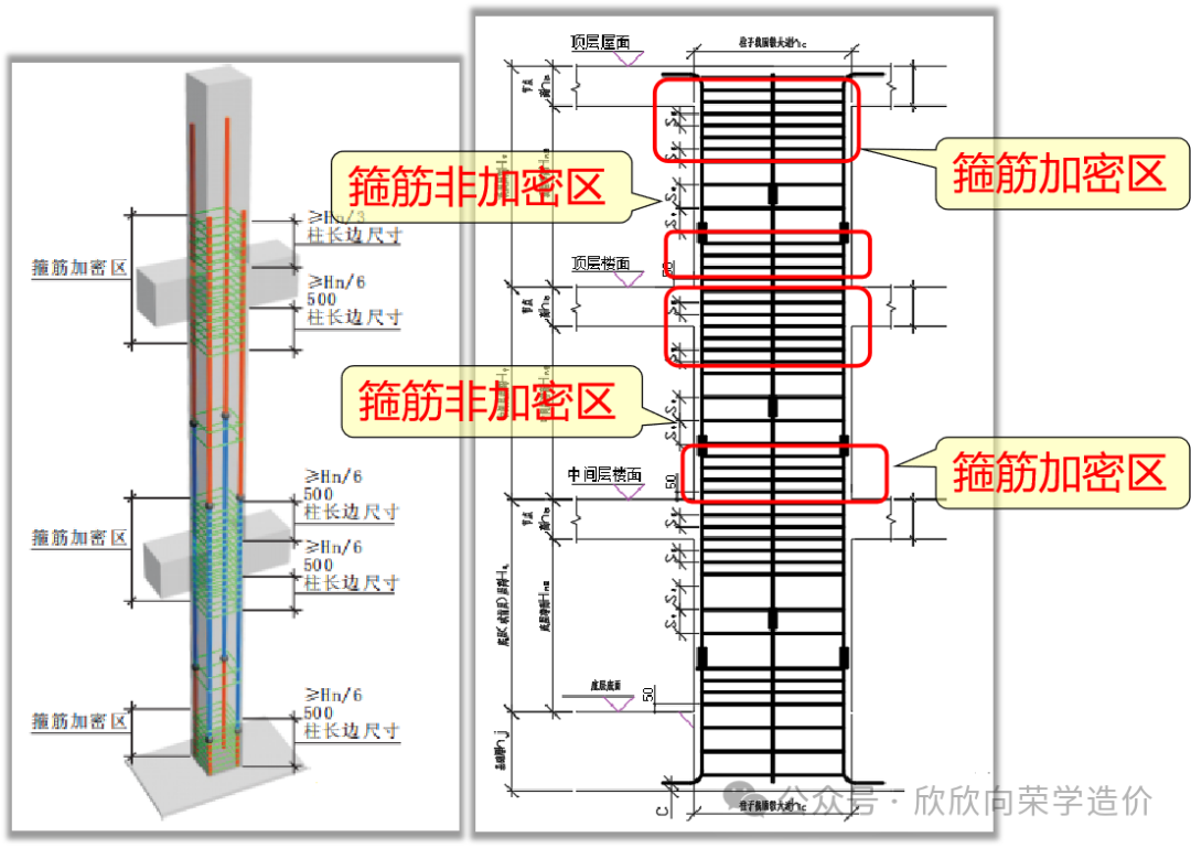 框架柱平法3纵筋和构件的构造