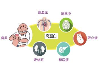 健身+蛋白粉，「腎」受不了 健康 第3張