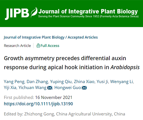 JIPB南方科技大学郭红卫课题组发现植物器官不对称生长起始的新机制