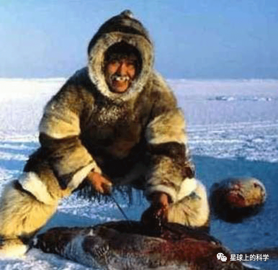 每日阅读 吃生肉 以妻待客 爱斯基摩人的传统生活为何如此奇特 热点讯息网