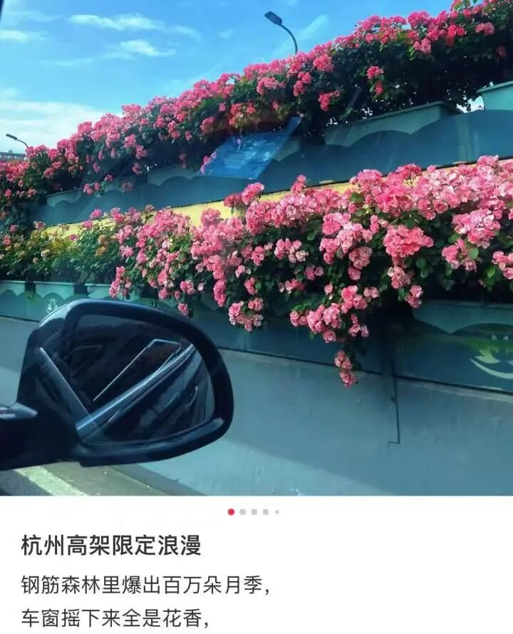 483cda9a1dd3d78095e93fb3c7f2a121.jpg