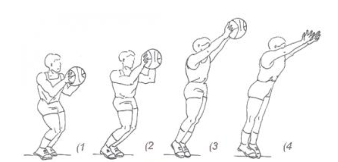 投篮技术滑步跳步急停跨步急停变向跑移动技术■■■篮球技术图解来源