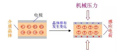 干貨 | MLCC為什么會嘯叫？的圖6
