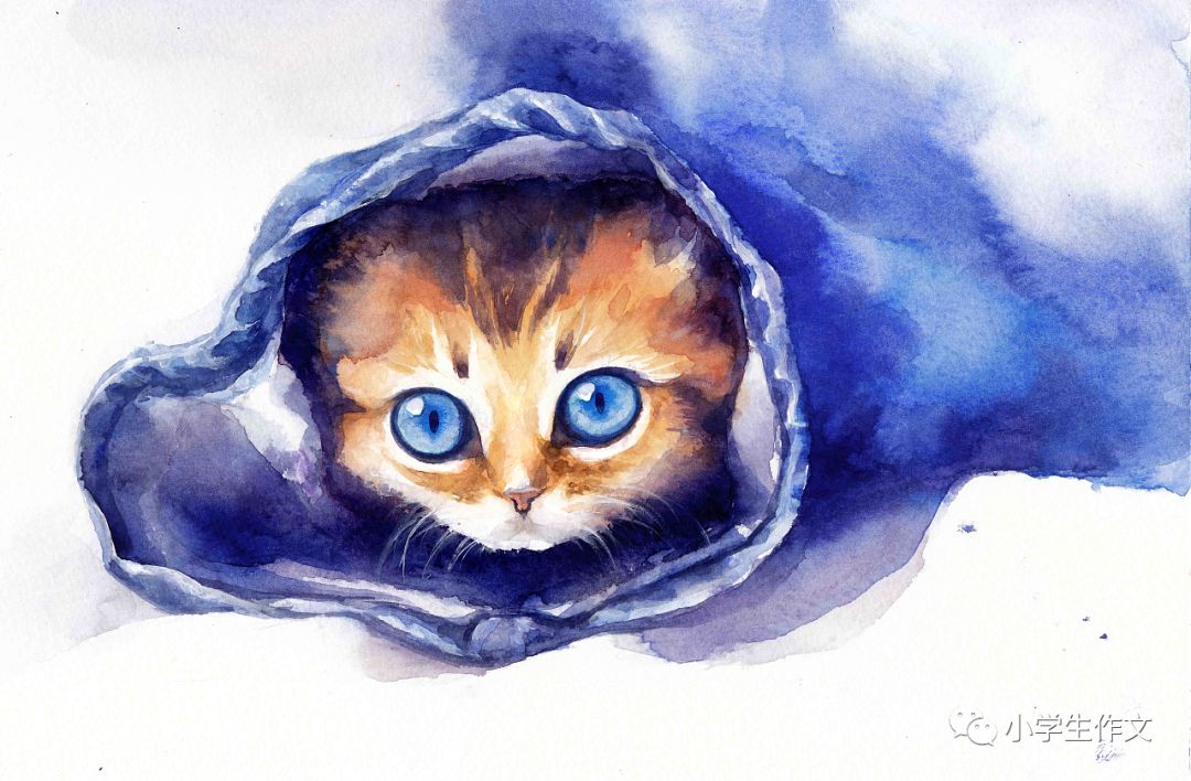 seo搜索词和关键词的关联_不但而且是什么关联词_关联搜索词代码