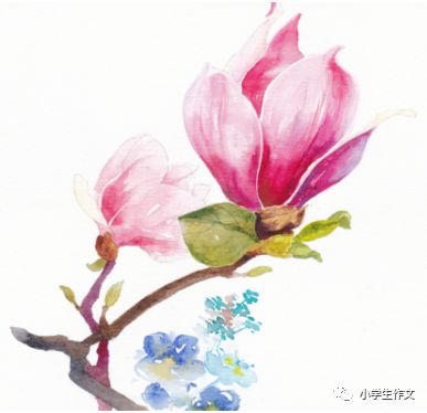 关联搜索词代码_seo搜索词和关键词的关联_不但而且是什么关联词