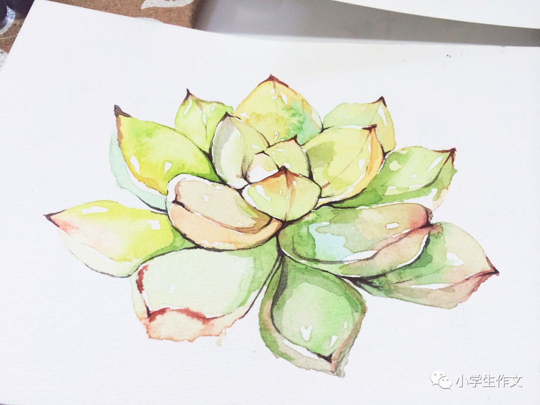 不但而且是什么关联词_关联搜索词代码_seo搜索词和关键词的关联