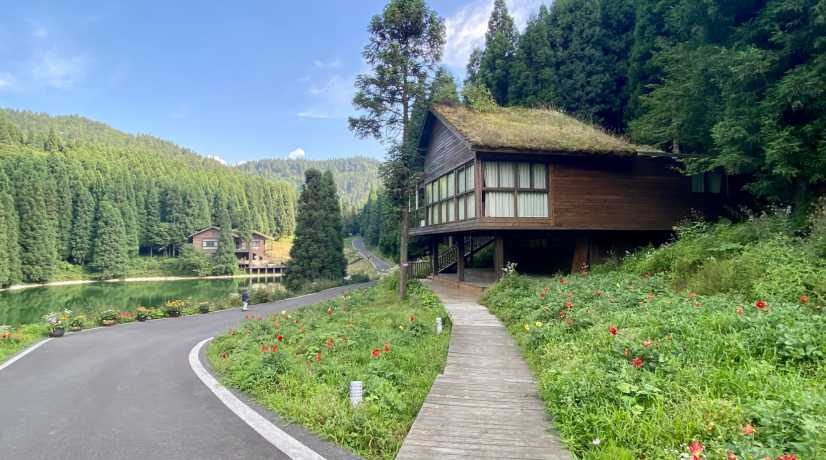 重庆旅行必备网红民宿大盘点你一定不能错过