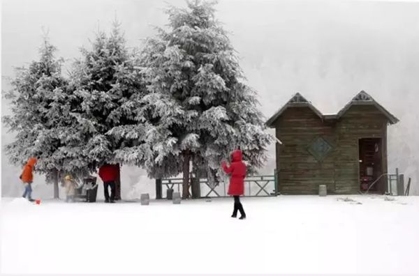 重庆又双叒叕下雪啦！这份最新赏雪地图快来收藏