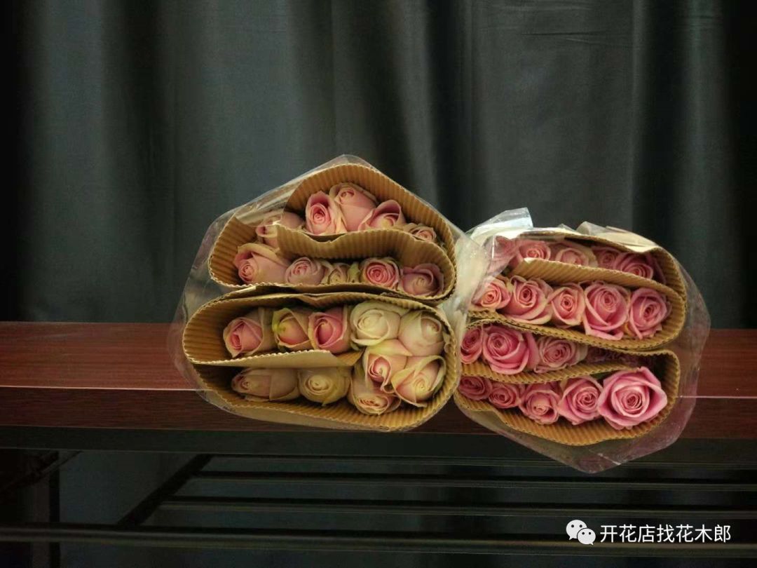 花木郎：会变色的粉玫瑰玛利亚，其实是一个男人的名字？