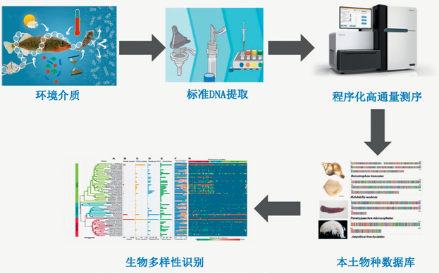 綠色科技 | 智能監測技術在海洋生態監測中的應用與實踐