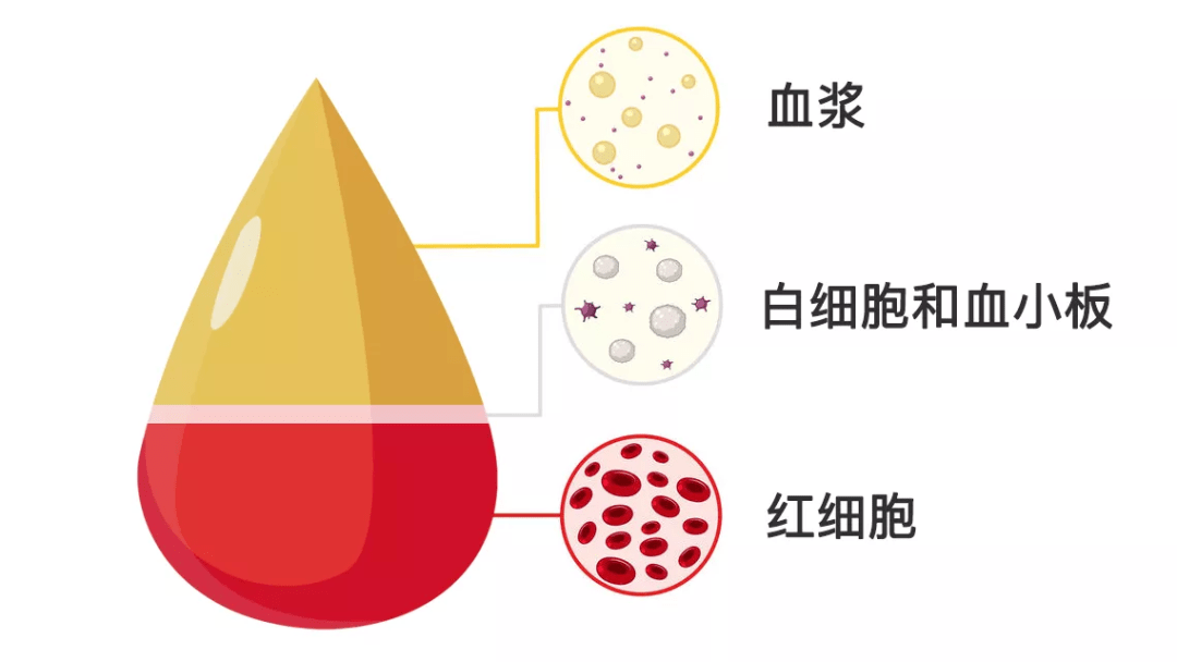 津市市人民医院
