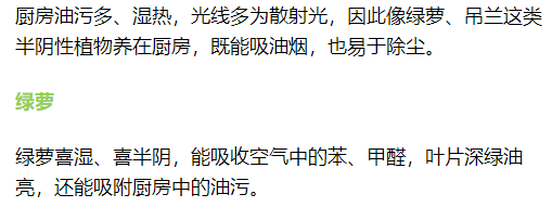 客廳臥室放盆它，開運又健康，蚊蟲全沒啦！ 家居 第11張