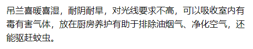 客廳臥室放盆它，開運又健康，蚊蟲全沒啦！ 家居 第14張