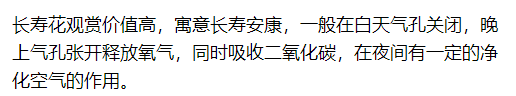 客廳臥室放盆它，開運又健康，蚊蟲全沒啦！ 家居 第27張