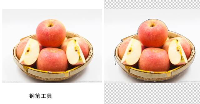 套索工具抠图后怎么填充背景色_ps抠图套索工具抠图_套索工具怎么抠图