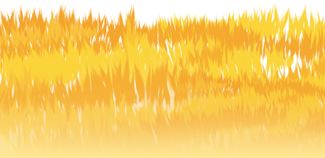 组 4.png