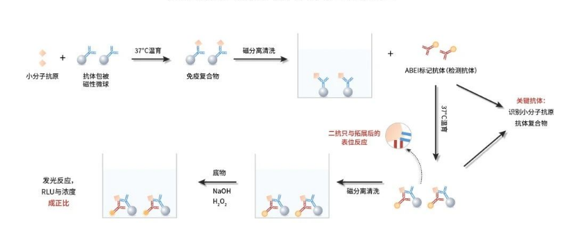化学发光检测小分子的世界性难题被新产业攻克了！ - 小桔灯网 - Powered by Discuz!