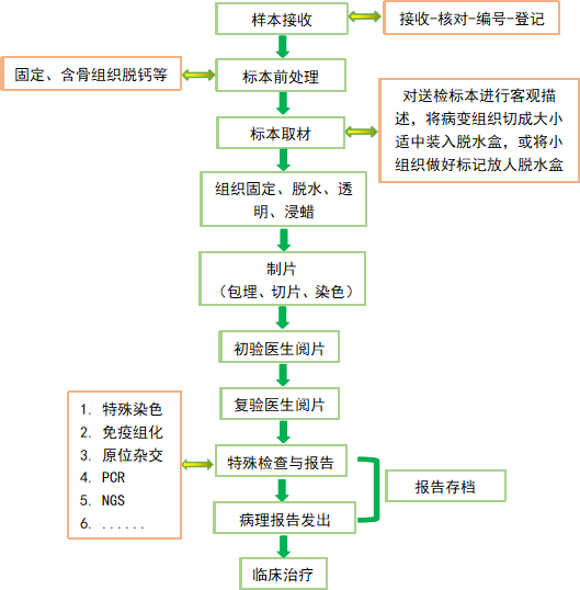 肺癌高居惡性腫瘤死亡率首位，看湘雅醫院如何快速確診 健康 第3張