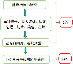 肺癌高居惡性腫瘤死亡率首位，看湘雅醫院如何快速確診 健康 第4張