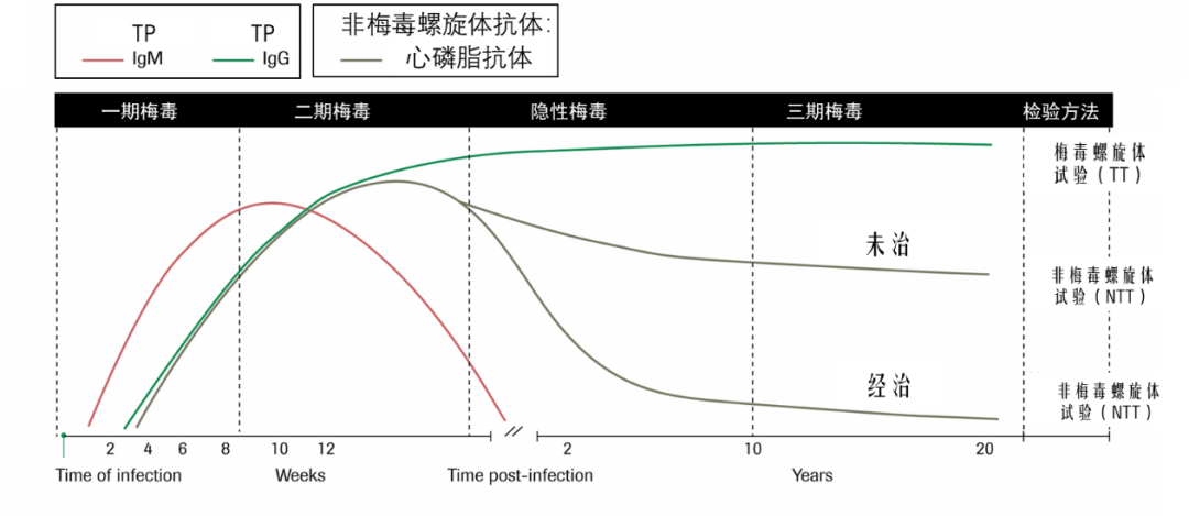 檢測非特異性抗體的試驗,稱為非梅毒螺旋體試驗(ntt).