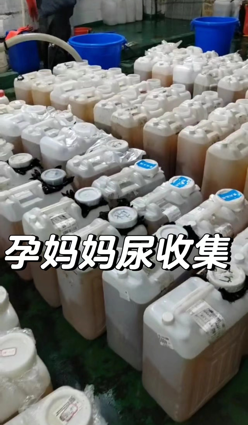 尿液什么价最高1万元！高价回收孕妇尿液，暗藏什么商业玄机？_https://www.jmylbn.com_新闻资讯_第2张