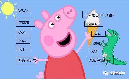 史上最全，檢驗科三大類18個感染性指標大解讀 健康 第5張
