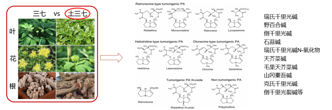 怎么做pas检测突破检测“空白”！复旦中山检验质谱平台开发全新项目_https://www.jmylbn.com_新闻资讯_第1张