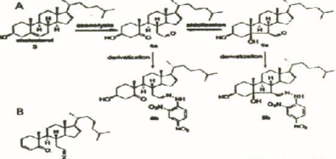 高压臭氧治疗什么经过6次高剂量高压三氧自血疗法(HOT)血脂明显下降!_https://www.jmylbn.com_新闻资讯_第9张