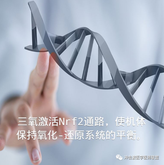 医用臭氧有什么作用三氧是如何作用于血液的？三氧是如何激活人体免疫应答的？三氧能用于哪方面疾病？_https://www.jmylbn.com_新闻资讯_第4张