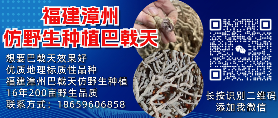 产地：多个省市区中药材价格行情