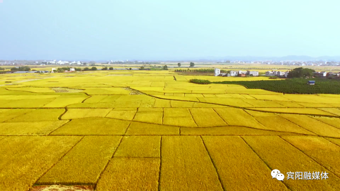 宾阳中医院牙科怎么样宾阳县中医医院免费糖尿病筛查来啦！赶紧约起来~_https://www.jmylbn.com_新闻资讯_第14张