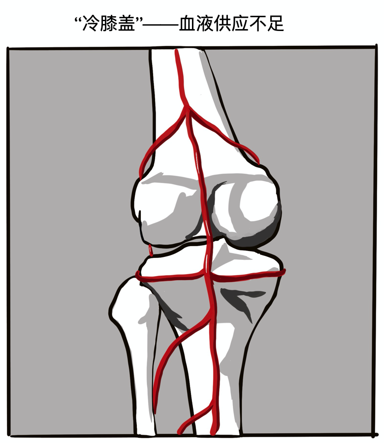 理疗热敷贴怎么贴这个东西是老寒腿克星！每天坚持能让腿脚年轻20岁！_https://www.jmylbn.com_新闻资讯_第11张