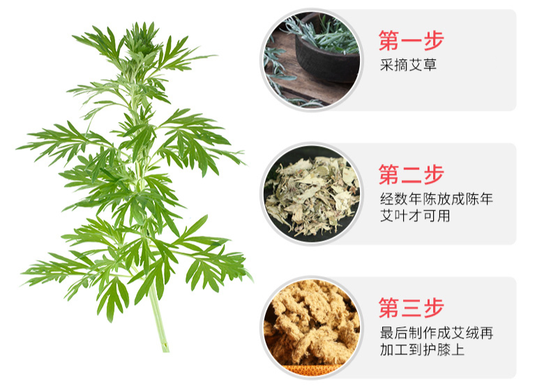 理疗热敷贴怎么贴这个东西是老寒腿克星！每天坚持能让腿脚年轻20岁！_https://www.jmylbn.com_新闻资讯_第26张