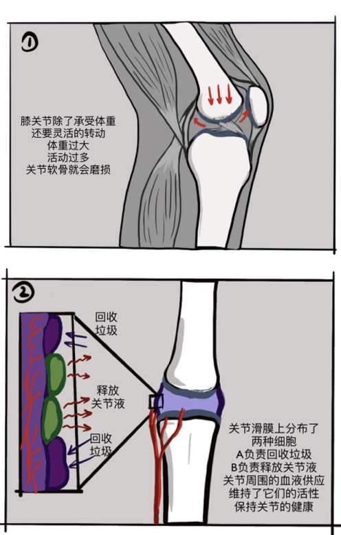 理疗热敷贴怎么贴这个东西是老寒腿克星！每天坚持能让腿脚年轻20岁！_https://www.jmylbn.com_新闻资讯_第12张