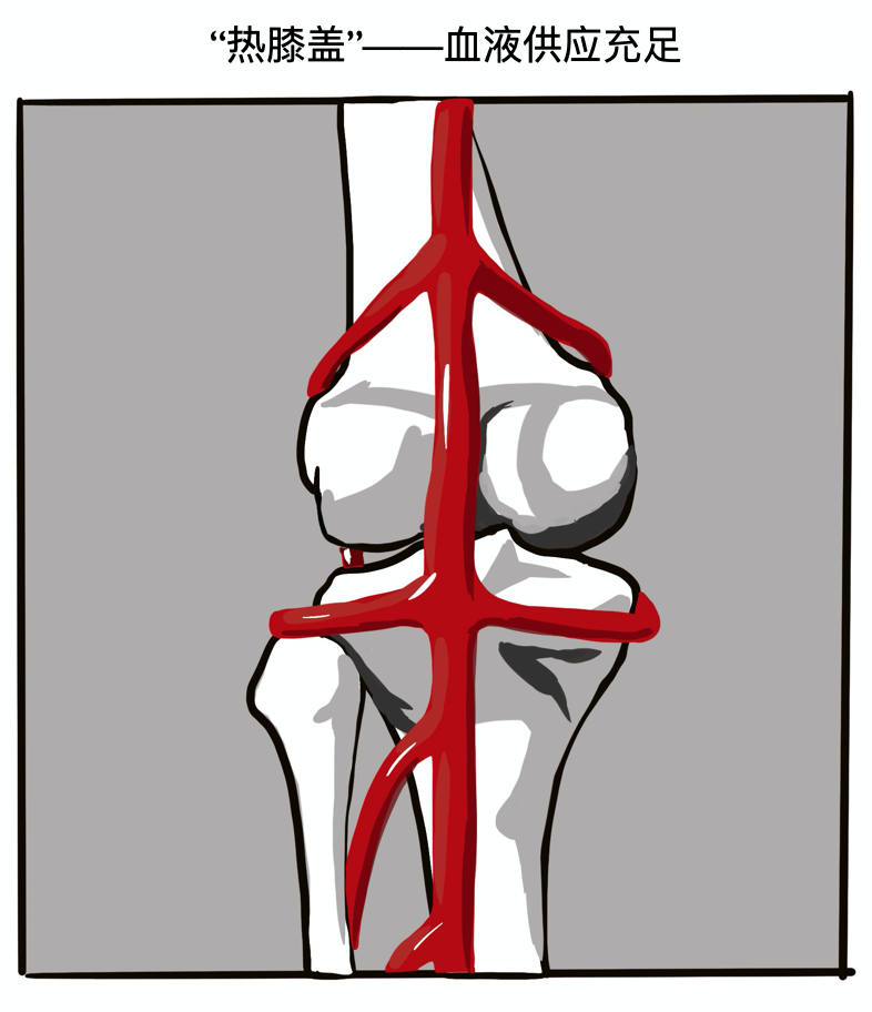 理疗热敷贴怎么贴这个东西是老寒腿克星！每天坚持能让腿脚年轻20岁！_https://www.jmylbn.com_新闻资讯_第14张