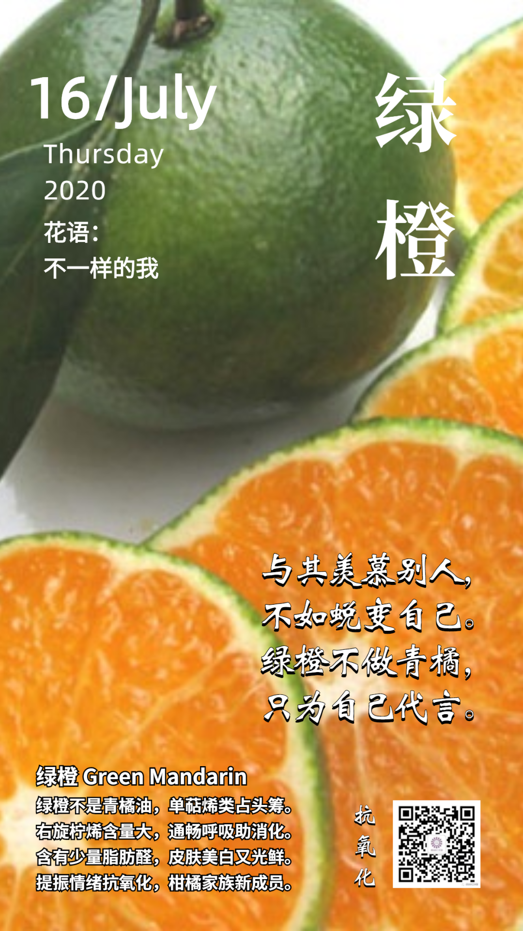 精油侠工作室的个人展示页