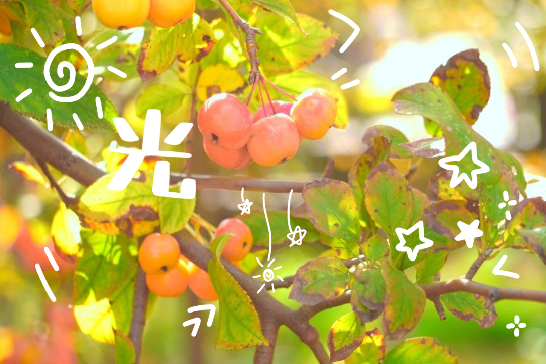 10储明慧.png