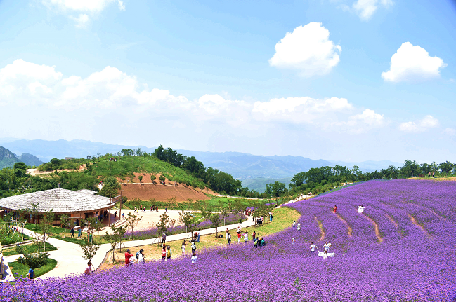 五一免门票云顶花海精彩演艺淄博这里绝对是小长假绝佳度假地