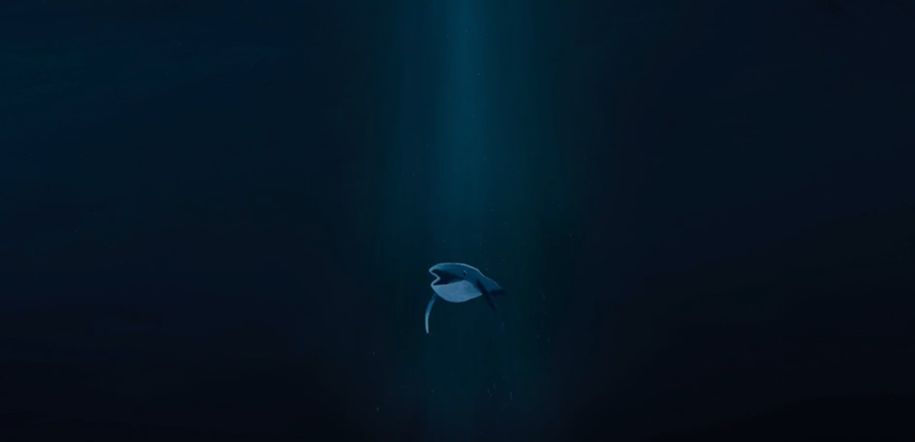 不是所有动画片都适合孩子，真正有意义的还是这几部