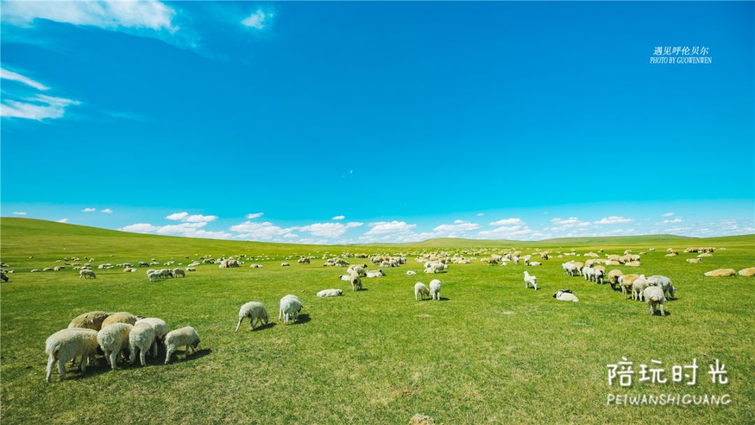 这个带娃骑马喂驯鹿的好地方 现在风景最美 年糕妈妈 微信公众号文章阅读 Wemp