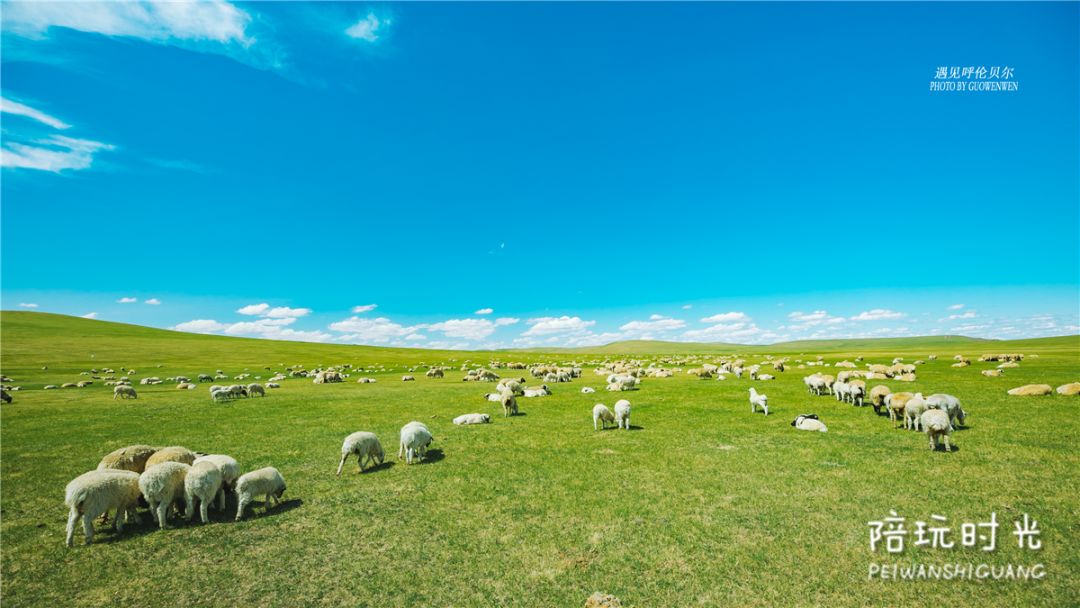 这个带娃骑马喂驯鹿的好地方 现在风景最美 年糕妈妈 微信公众号文章阅读 Wemp