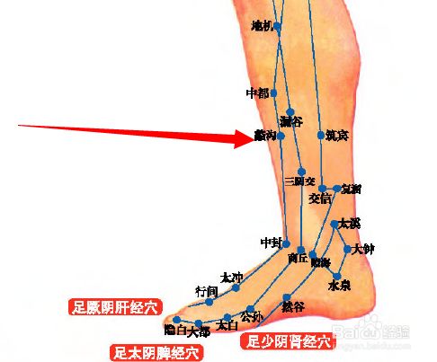 每日一穴 蠡沟穴 联络肝胆 疏肝理气 调理经脉 舒肝理气 调经止带 经络穴位图解 微信公众号文章阅读 Wemp