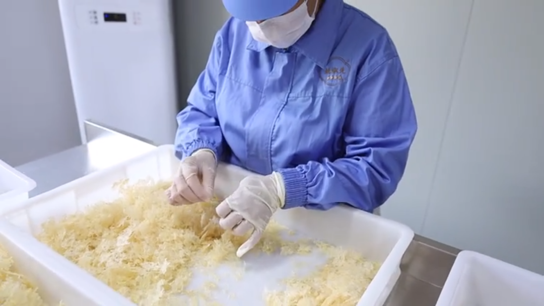 本草银耳--银耳之父52年匠心培育，成就新一代的滋补珍品“圣耳”