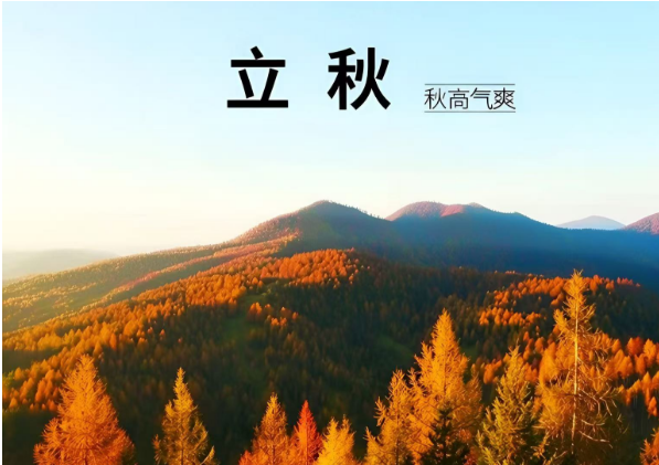 立秋(图8)