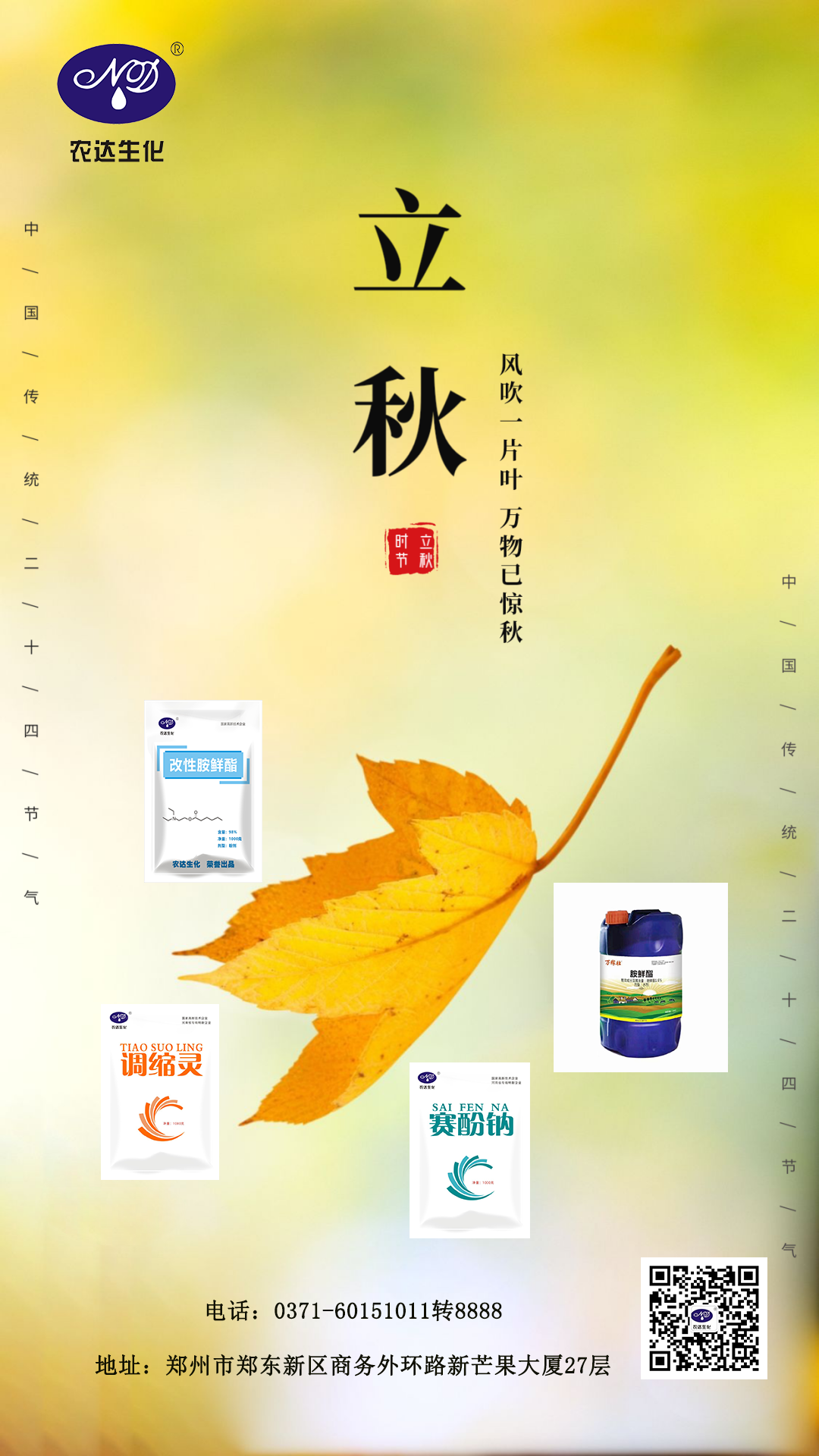 立秋(图5)