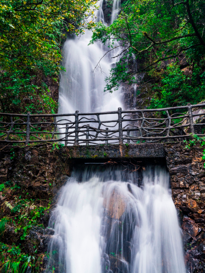 雨中三百山景色更迷人这场雨只为等你