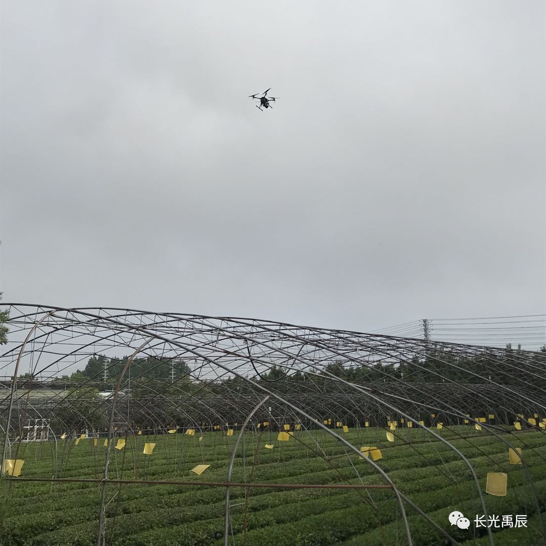 无人机载多光谱遥感在茶树氮营养及品质指标检测研究方面取得重要进展的图3