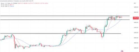 市场静待非农报告  哪些币种值得关注？