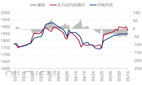 [隆眾聚焦]：出口一點點揭幕 尿素鬧市正在收場